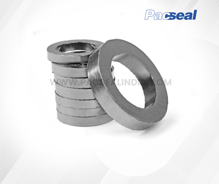 Ring Type Join Gasket